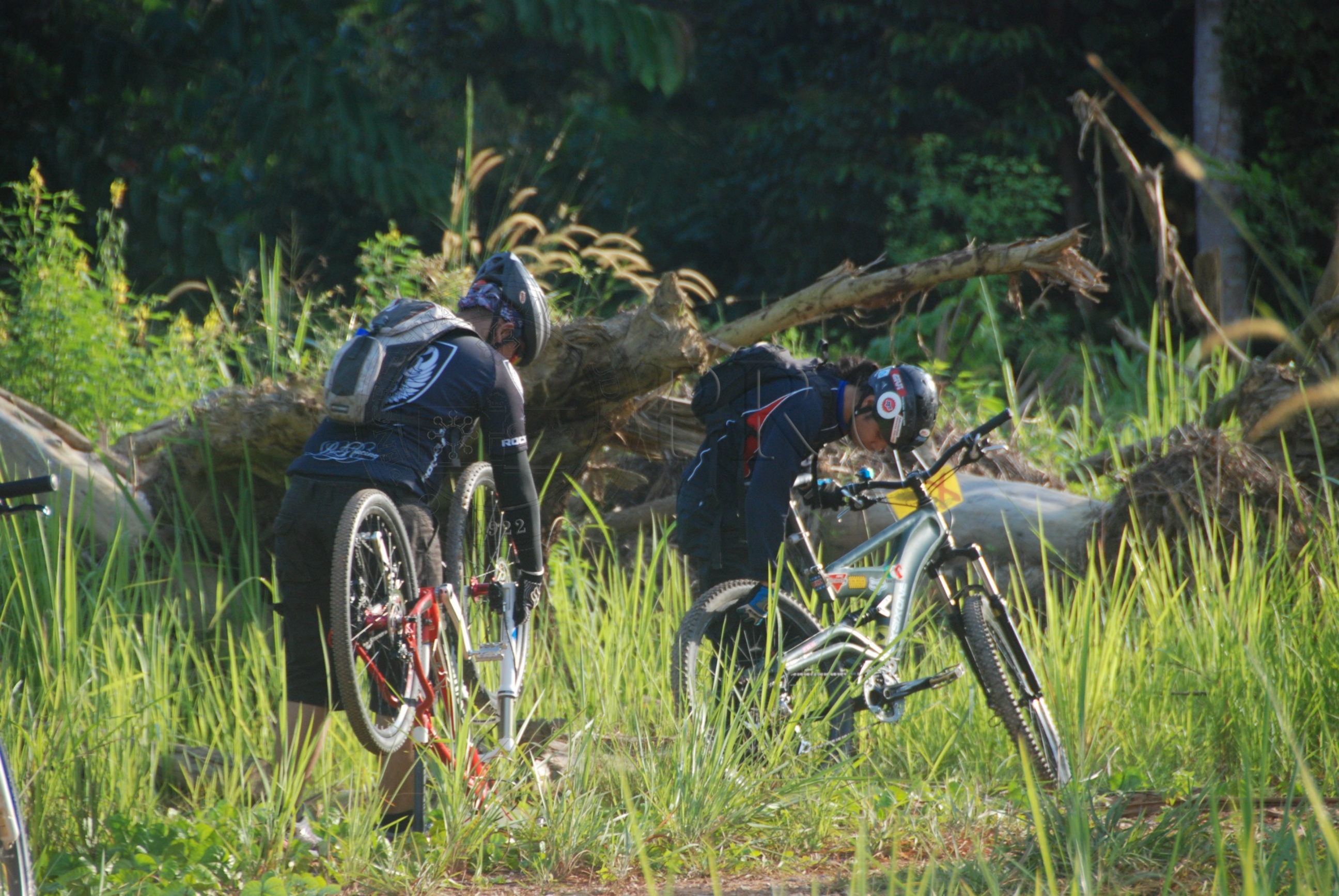 BPKK 12 145 jamboree DSC 1125